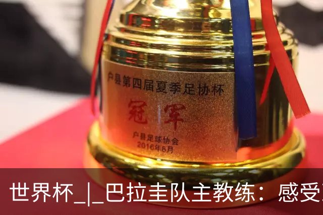 世界杯 | 巴拉圭队主教练：感受到比赛的极致压力