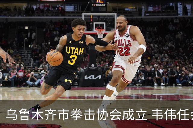 乌鲁木齐市拳击协会成立 韦伟任会长