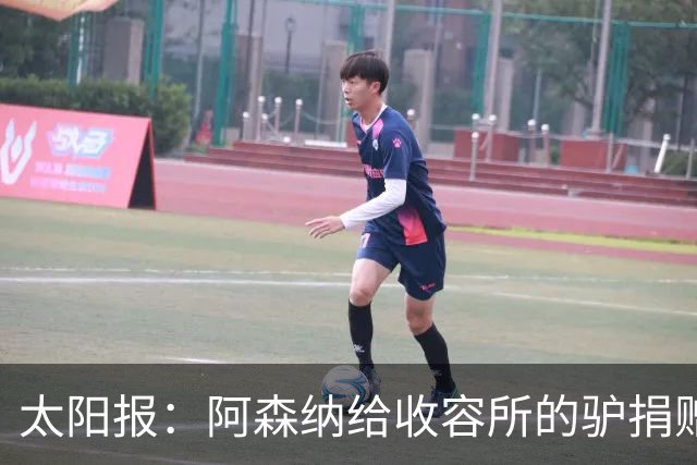 太阳报：阿森纳给收容所的驴捐赠40双球袜，保护它们腿部免受感染