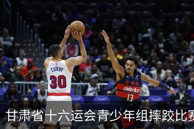 甘肃省十六运会青少年组摔跤比赛在定西开赛