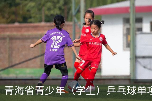 青海省青少年（学生）乒乓球单项赛开赛